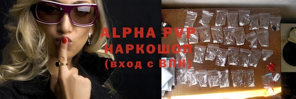 индика Верея