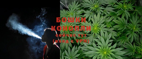 ГАЛЛЮЦИНОГЕННЫЕ ГРИБЫ Володарск